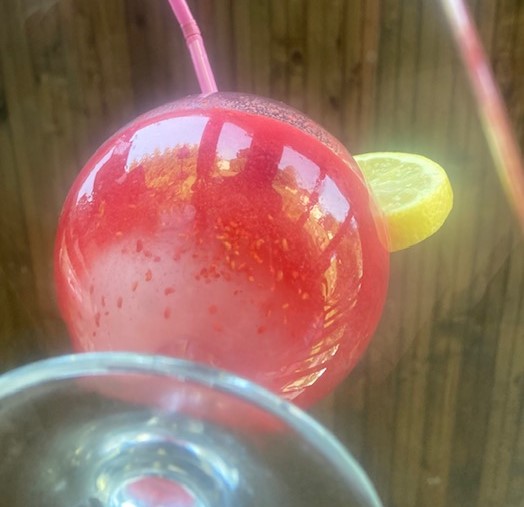 Cranberry Citrus Dragon: Bright pink cocktail in a goblet with a lemon slice garnish