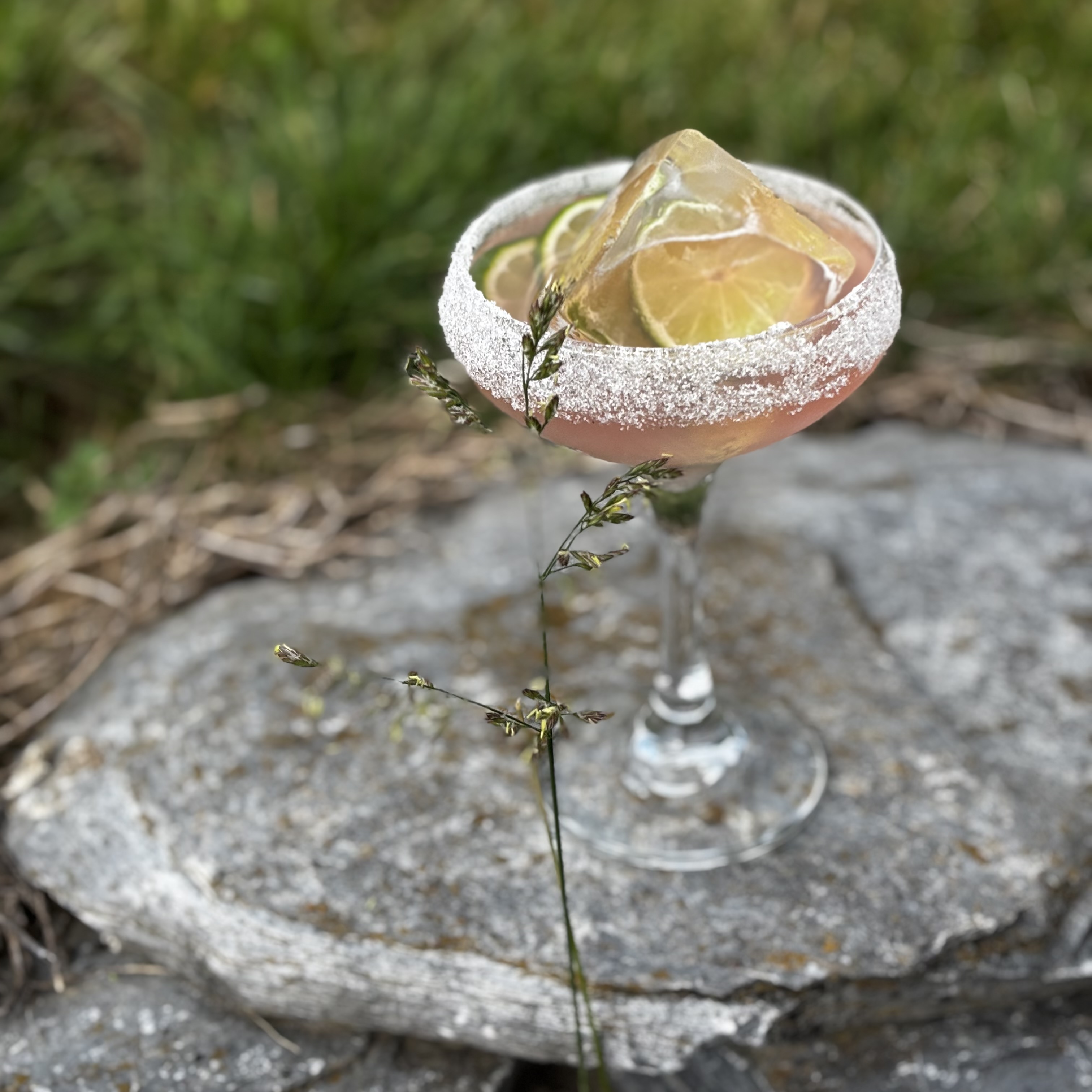 Cachaça Daiquiri: Blush-colored cocktail in coupe with sugar rim and frozen lime slices.